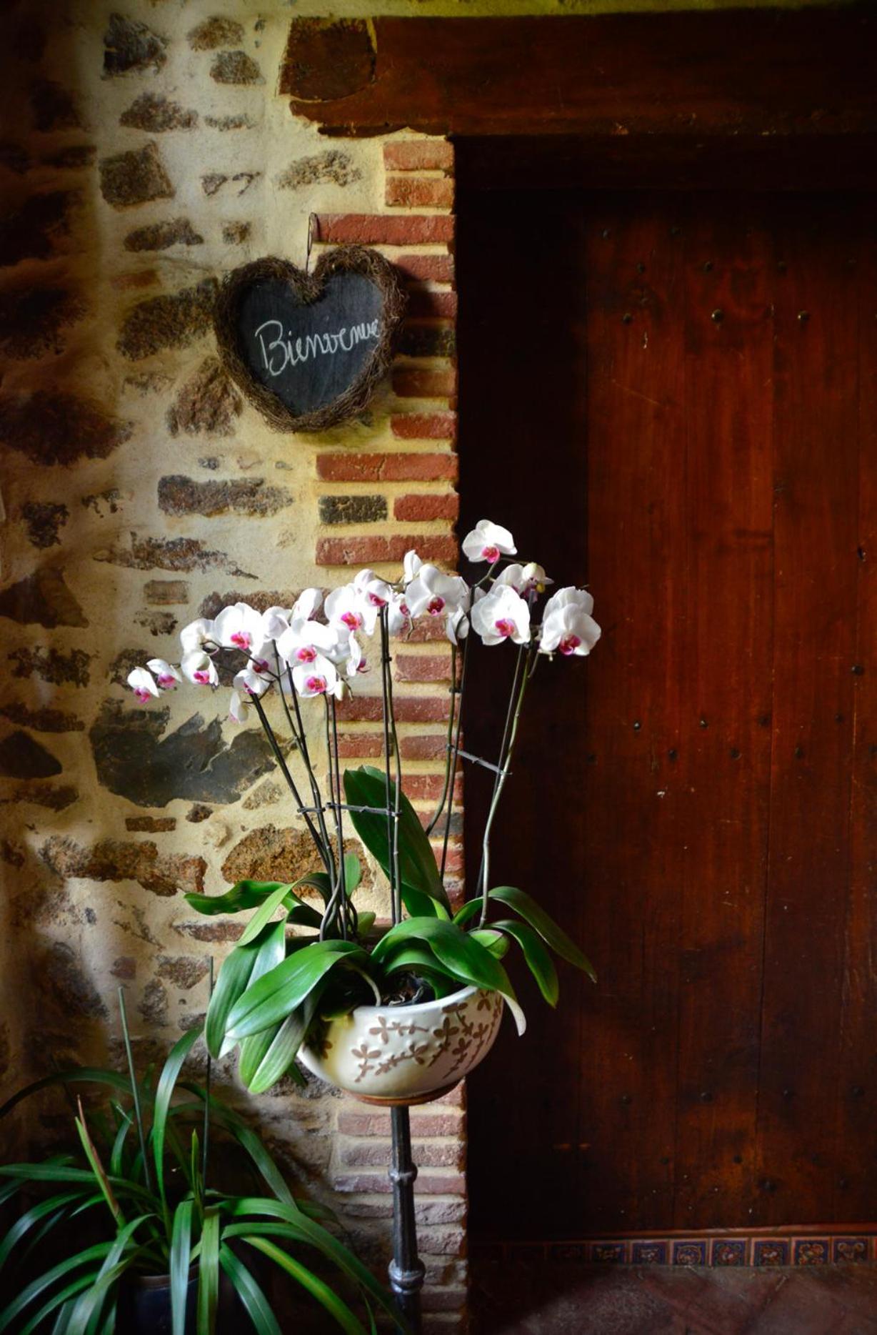 La Frapperie Bed and Breakfast La Pommeraie-sur-Sèvre Buitenkant foto