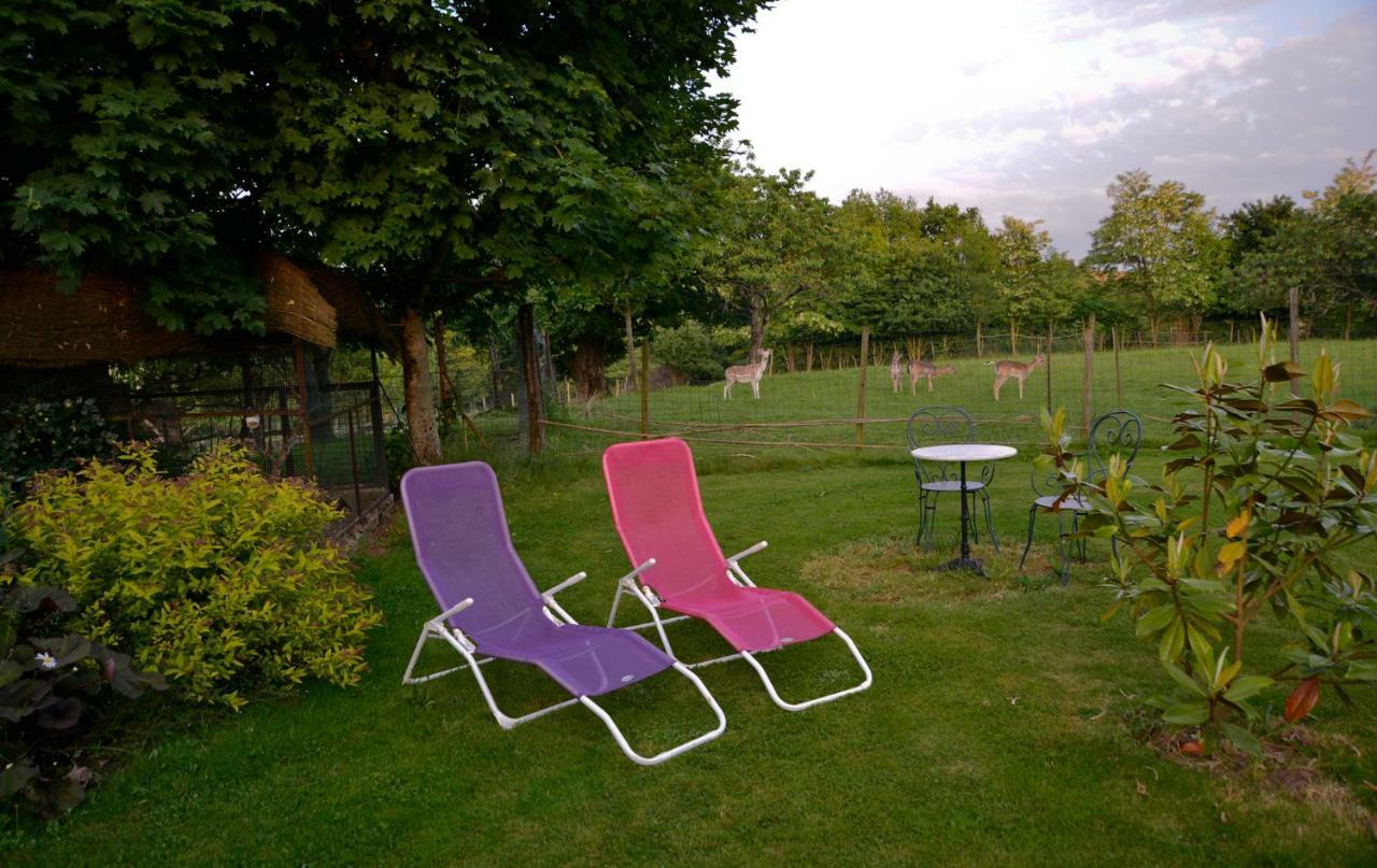 La Frapperie Bed and Breakfast La Pommeraie-sur-Sèvre Buitenkant foto